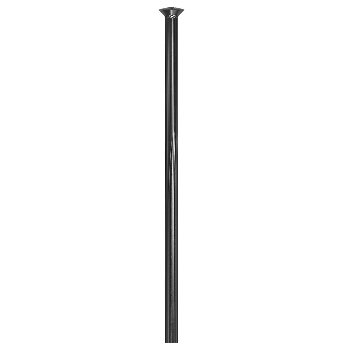 DT Complite straight pull Spoke