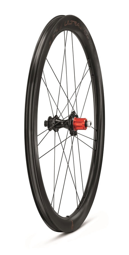 BoraUltra-WTO-45-DB-2WF-C23-postTRE4-2024