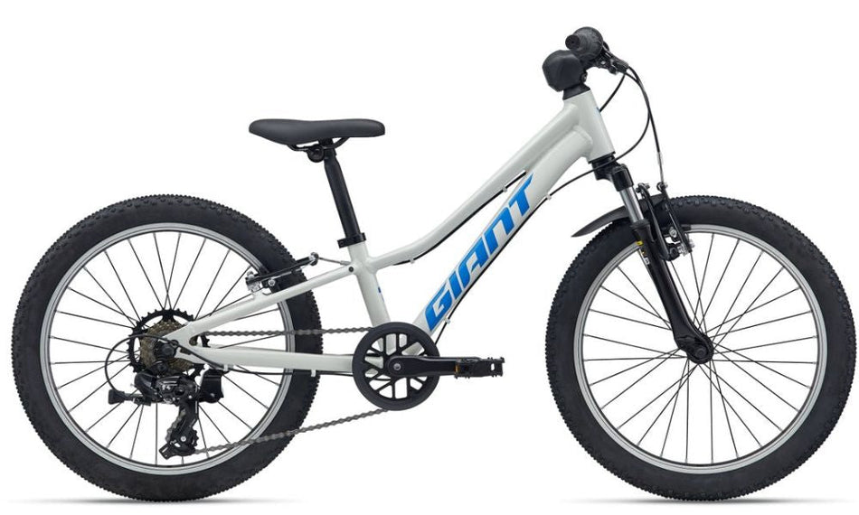 Giant 2026 Talon 20